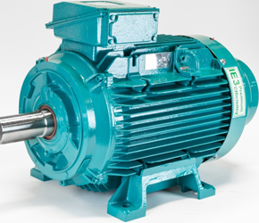 W Cast Iron motors