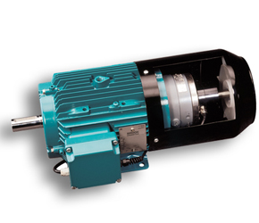 Brake Motors
